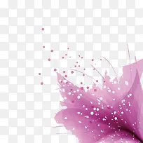 Ψ��ֲ�ﻨ��-������