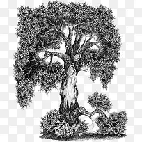 树-空若网 树-空若网