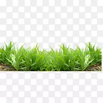 ²Ýƺ¼ôÌù»-²Ý-¿ÕÈôÍø ²Ýƺ¼ôÌù»-²Ý-¿ÕÈôÍø