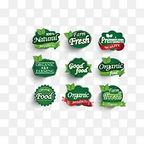 ��ɫ�߿�-������