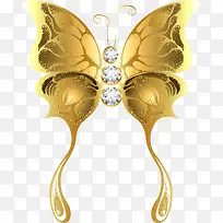 梦幻金色蝴蝶-空若网 梦幻金色蝴蝶-空若网