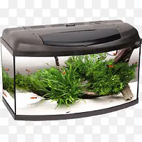 玻璃水缸-空若网 玻璃水缸-空若网