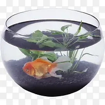 ͸Ã÷²£Á§Ë®¸×-¿ÕÈôÍø ͸Ã÷²£Á§Ë®¸×-¿ÕÈôÍø