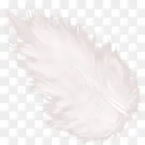 白色绒毛-空若网 白色绒毛-空若网