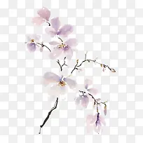 粉色桃花-空若网 粉色桃花-空若网