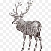 ��ͨ��������綯��װ�κ������-������