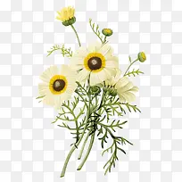 水彩花卉-空若网 水彩花卉-空若网