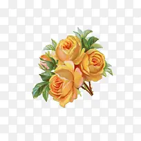 ĵ���ͻ�-������