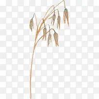 �ֻ��֦-������