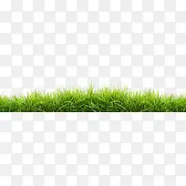 ��ƺ-������