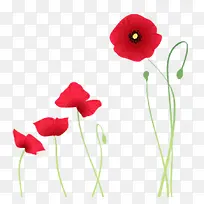 创意时尚红色小花-空若网 创意时尚红色小花-空若网