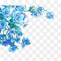 矢量蓝色妖姬-空若网 矢量蓝色妖姬-空若网