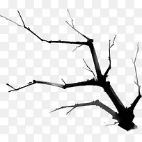 �ֻ��ɫ������֦-������