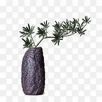 ʯͷƿ����ֲ֦��-������