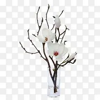 插花-空若网 插花-空若网