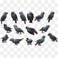 灰色的鸽子站在树上-空若网 灰色的鸽子站在树上-空若网