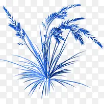 薰衣草花穗-空若网 薰衣草花穗-空若网