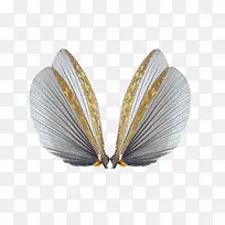 �������-������