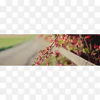 Ψ������-������