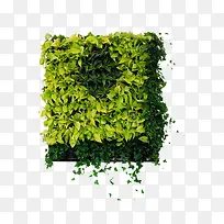 Ê÷Ò¶-¿ÕÈôÍø Ê÷Ò¶-¿ÕÈôÍø