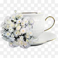 �����䱭��-������