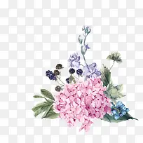 手绘花卉免抠-空若网 手绘花卉免抠-空若网