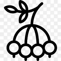 Berry 图标-空若网 Berry 图标-空若网