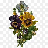 �ֻ������-������