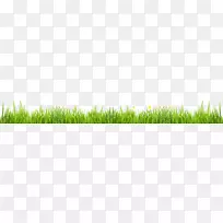 麦草绿植物茎电脑壁纸-草-空若网 麦草绿植物茎电脑壁纸-草-空若网