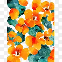 橙色花和绿色草-空若网 橙色花和绿色草-空若网
