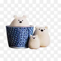 茶杯小熊-空若网 茶杯小熊-空若网