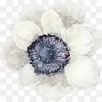 �ֻ�軨-������