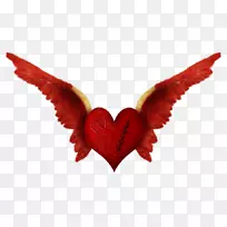 ������������-������