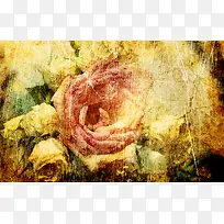 �ۺ�ɫ����õ�廨����-������