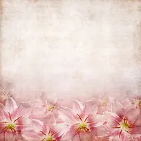 粉红色花朵背景-空若网 粉红色花朵背景-空若网