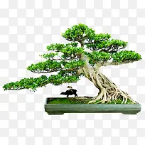 ��-������