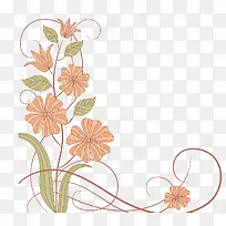 橙色的花-空若网 橙色的花-空若网