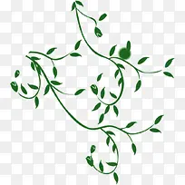 绿色浪漫春意绿叶树枝-空若网 绿色浪漫春意绿叶树枝-空若网