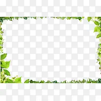 绿叶边框-空若网 绿叶边框-空若网