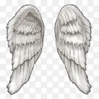 有质感的毛绒翅膀-空若网 有质感的毛绒翅膀-空若网