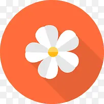 白色小花扁平化图标-空若网 白色小花扁平化图标-空若网