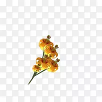 切花花瓣开花植物-花架-空若网 切花花瓣开花植物-花架-空若网