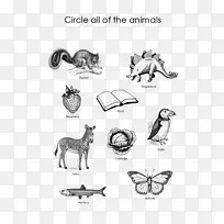 ����è������-��׵����-��β��-������