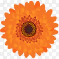 �＾��Ҷ������ǩ-������