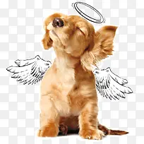 ��ʹ����-������