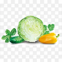 蔬菜-空若网 蔬菜-空若网