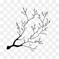 素描树枝素材图片-空若网 素描树枝素材图片-空若网