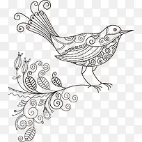 线条小鸟-空若网 线条小鸟-空若网