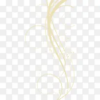 ÏßÌõÊ÷Ö¦-¿ÕÈôÍø ÏßÌõÊ÷Ö¦-¿ÕÈôÍø