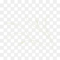 潮流线条树枝-空若网 潮流线条树枝-空若网